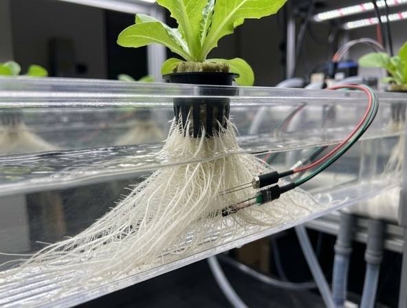 Horta Inteligente 2.0: Automação e Cultivo em Apartamentos